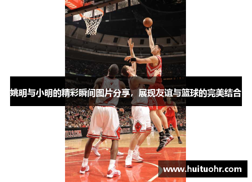 姚明与小明的精彩瞬间图片分享，展现友谊与篮球的完美结合